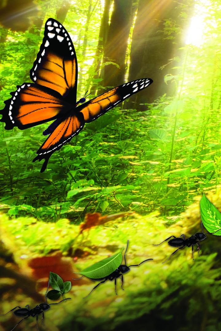 Симбиоз в Природе