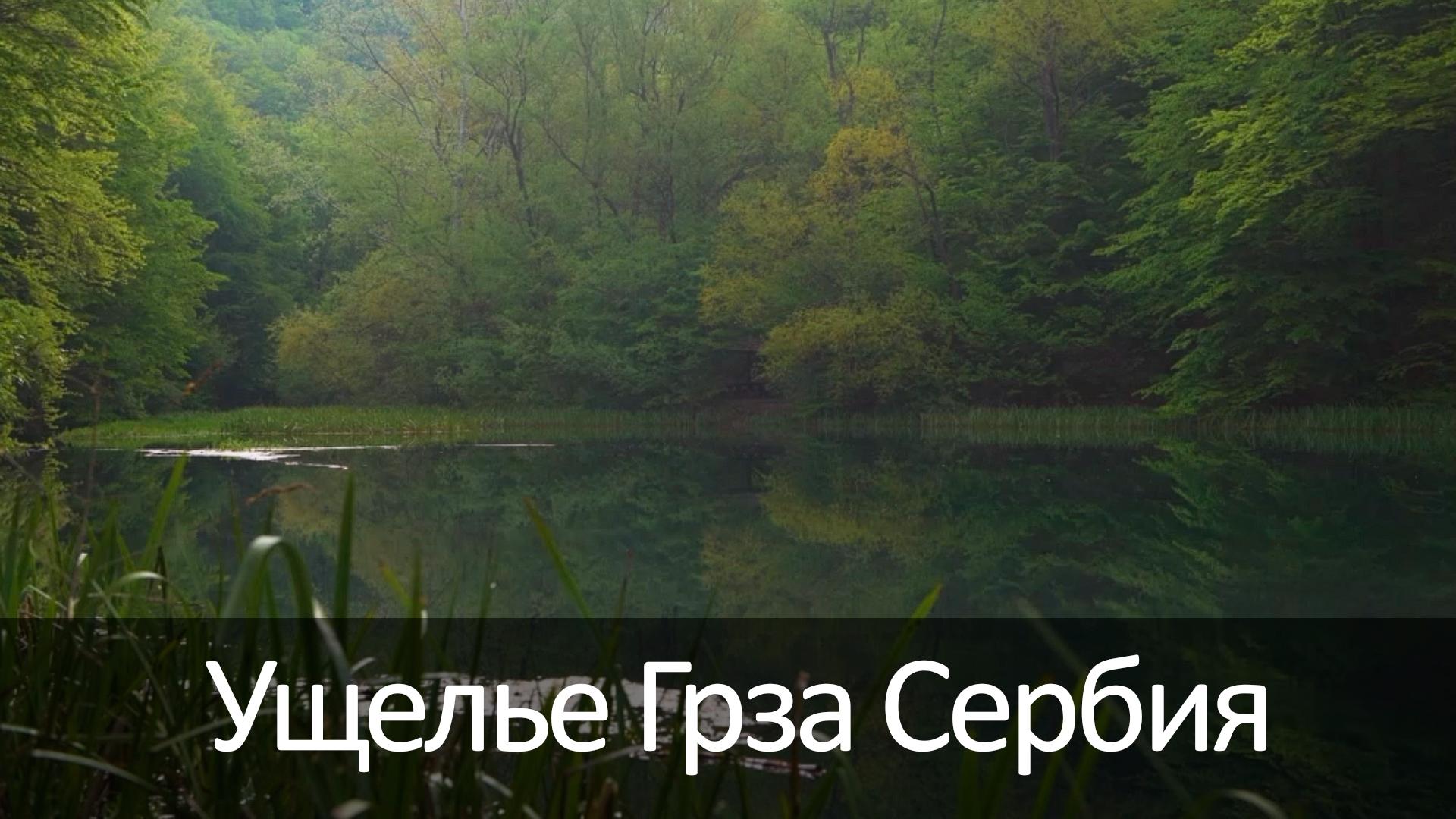 Ущелье Грза Сербия