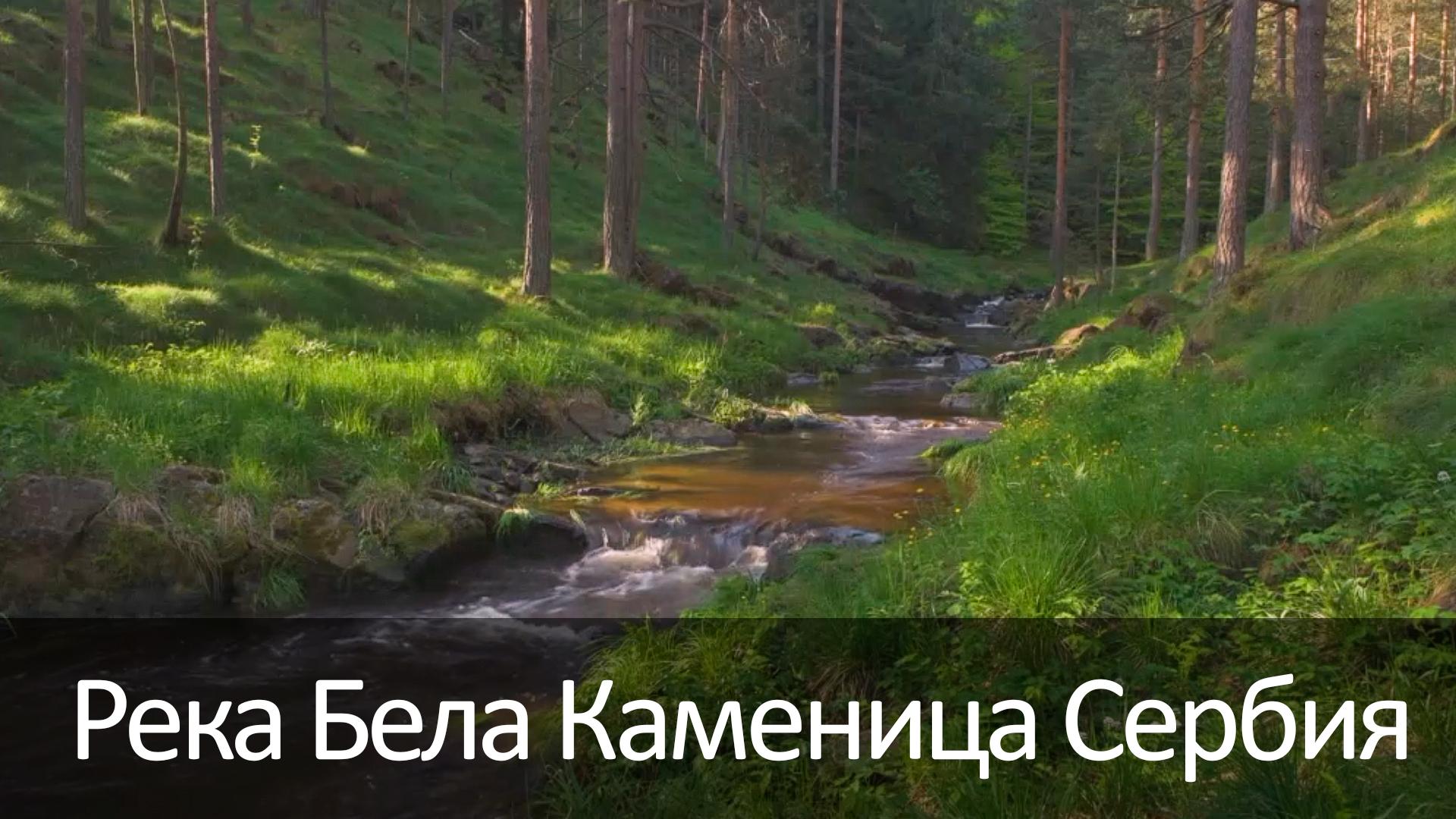Река Бела Каменица Сербия