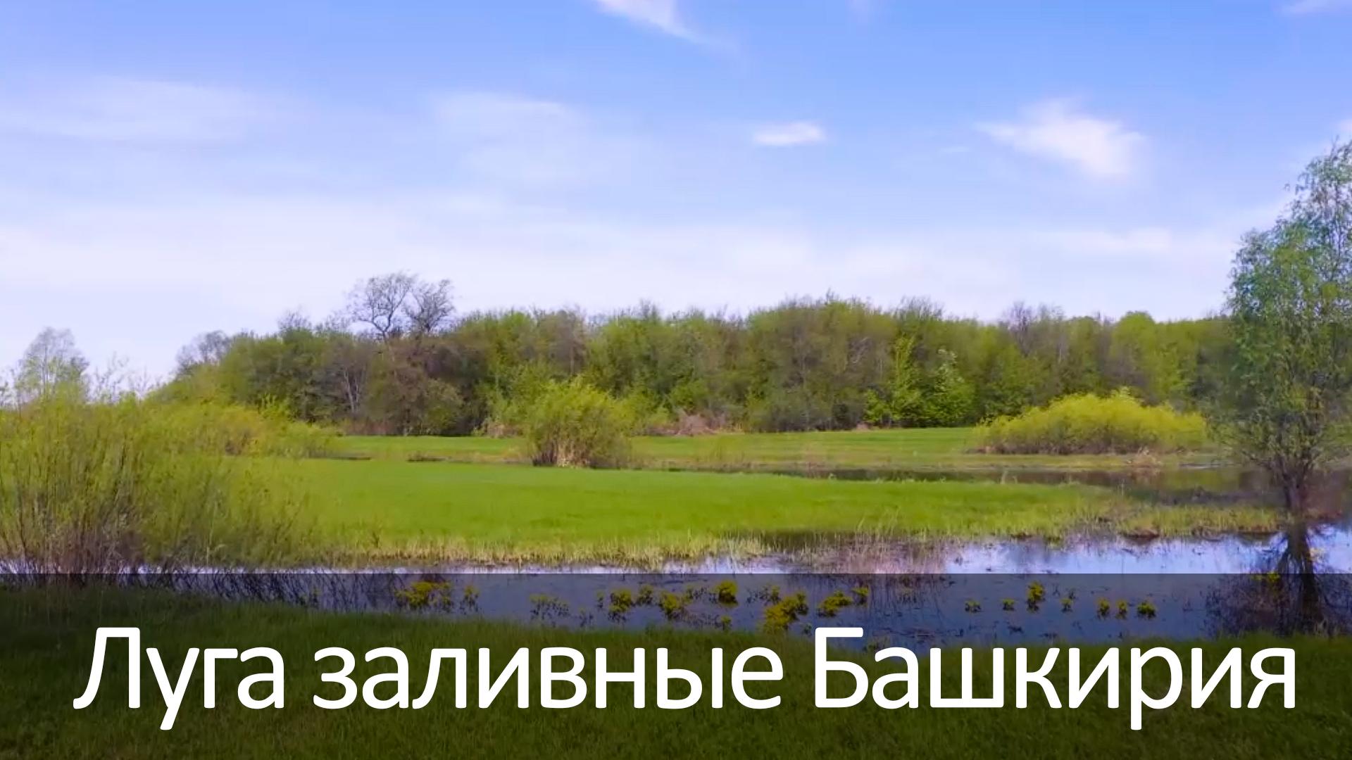 Луга заливные Башкирия