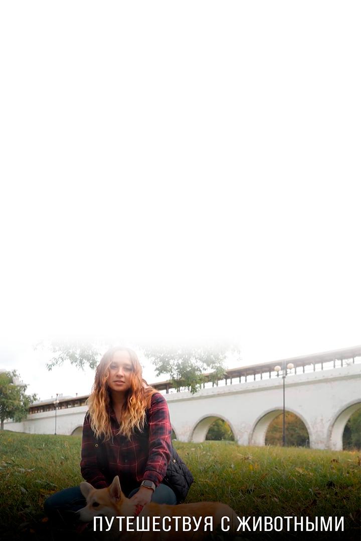 Путешествуя с животными