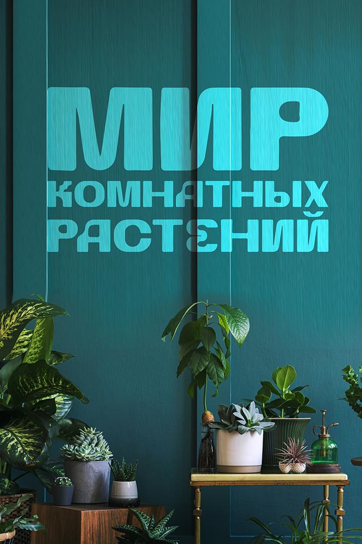 Мир комнатных растений