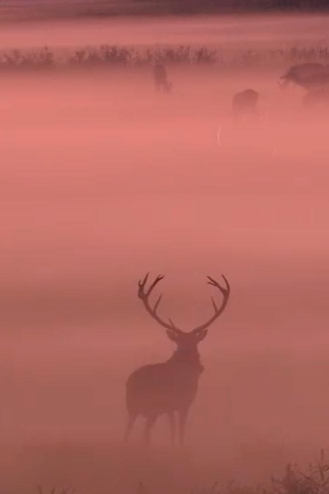 Природа всегда побеждает