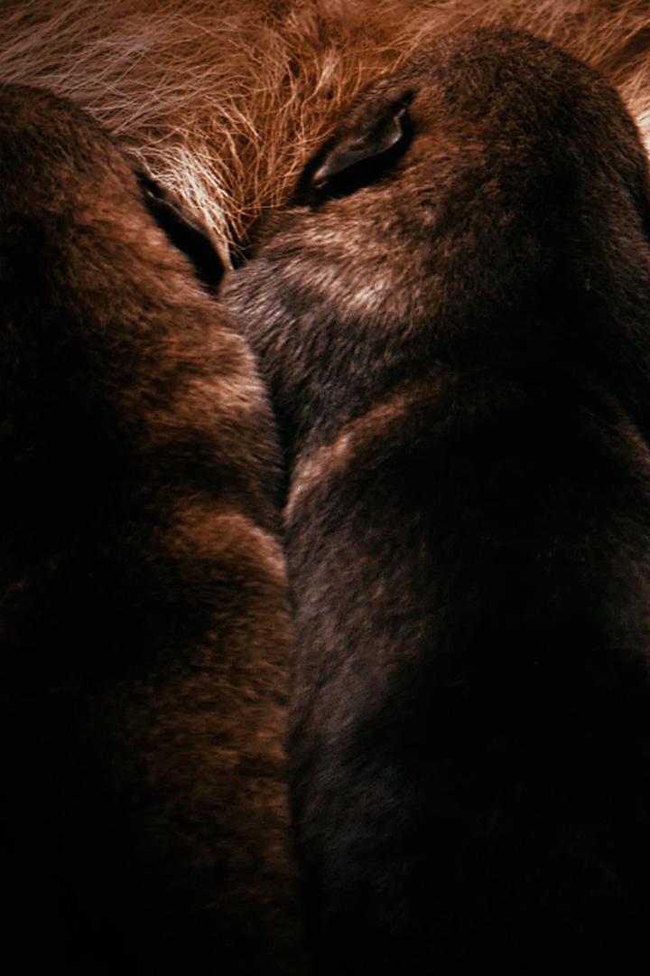 Любовь под вопросом?