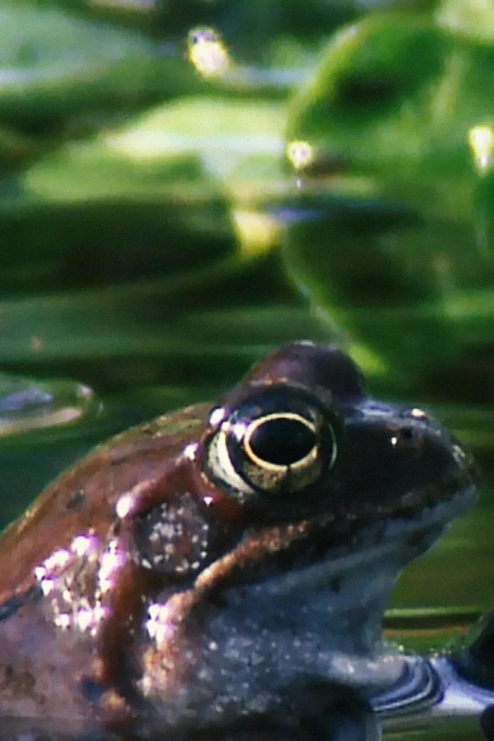 Супер-слизь