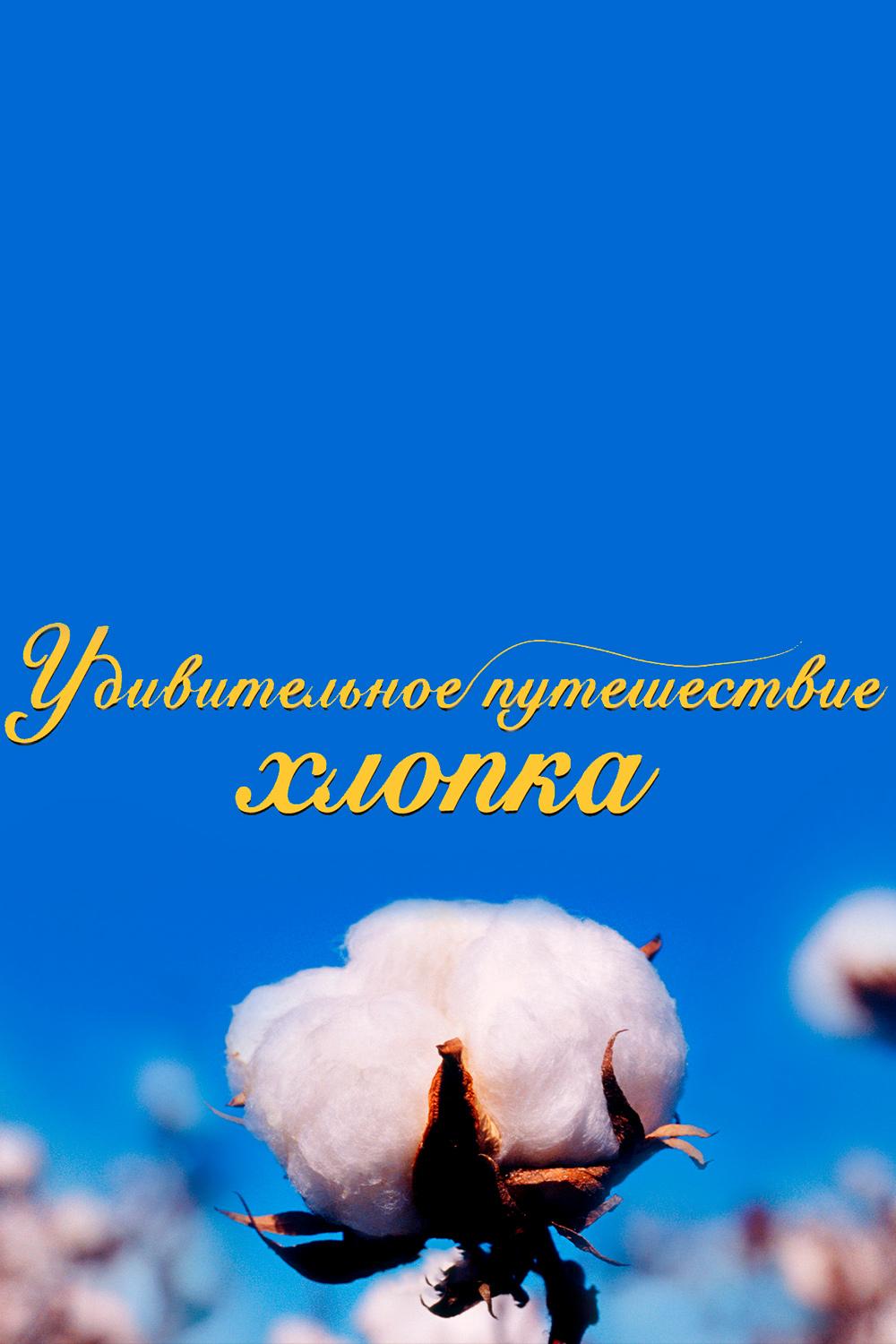 Удивительное путешествие хлопка
