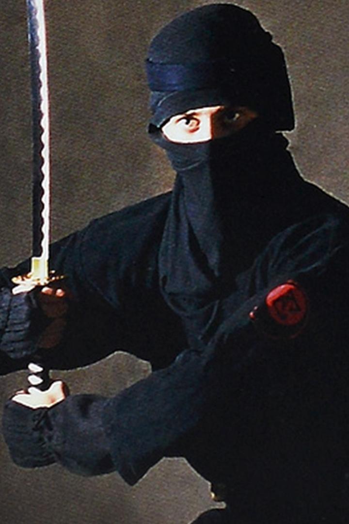 Ниндзя. Демоны ночи