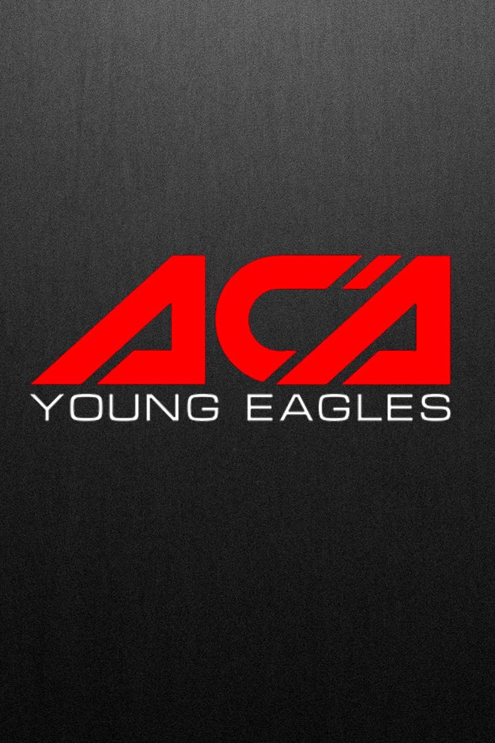 Смешанные единоборства. АСА Young Eagles. Трансляция из Ростова-на-Дону