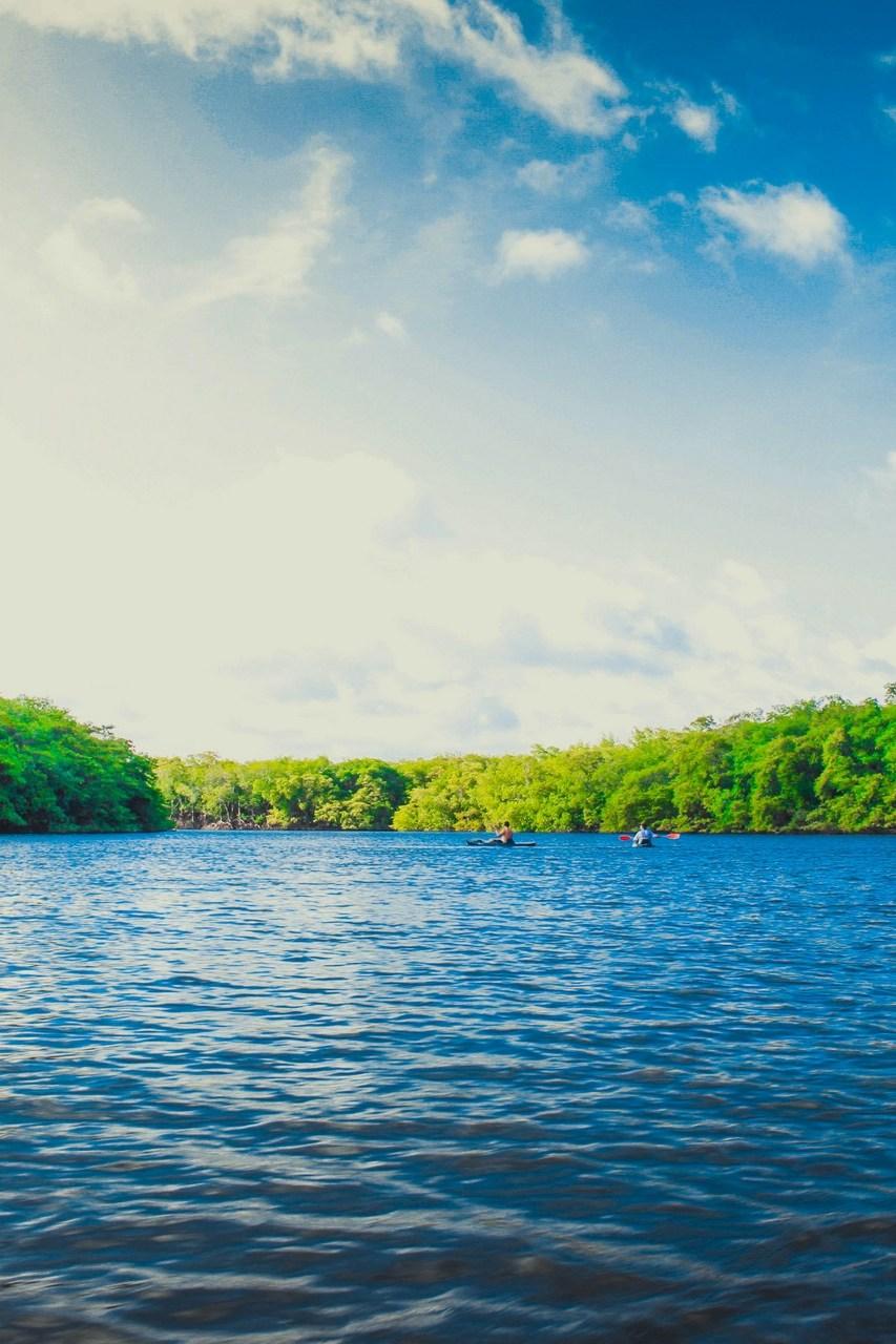 Шенонсо: королевская жизнь у реки