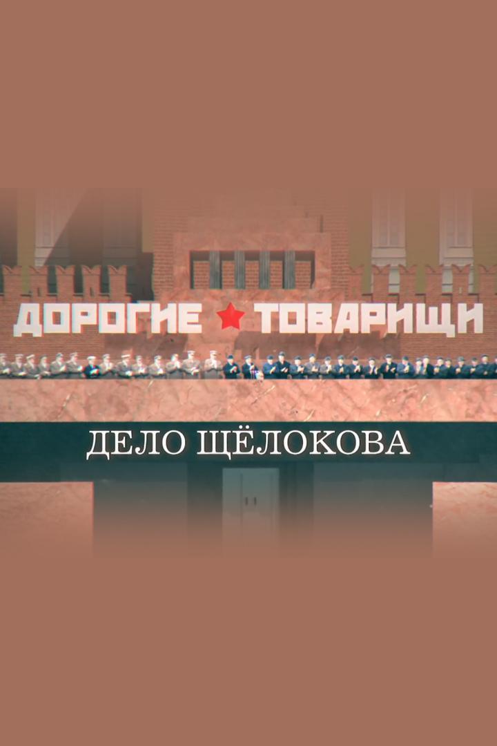 Дорогие товарищи. Дело Щёлокова