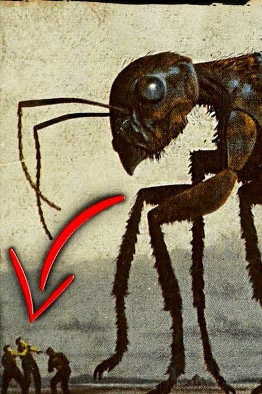 Главная тайна насекомых! О чём нам не договаривают биоинженеры?