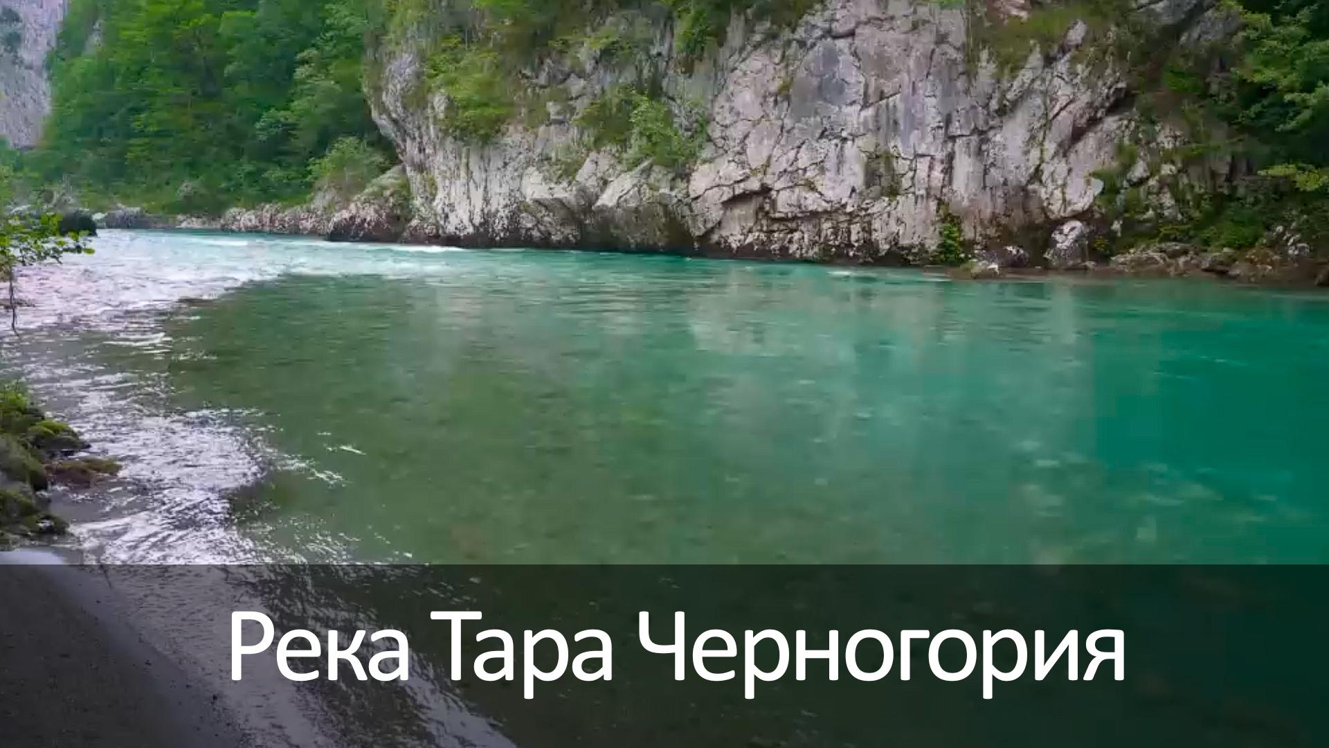 Река Тара Черногория