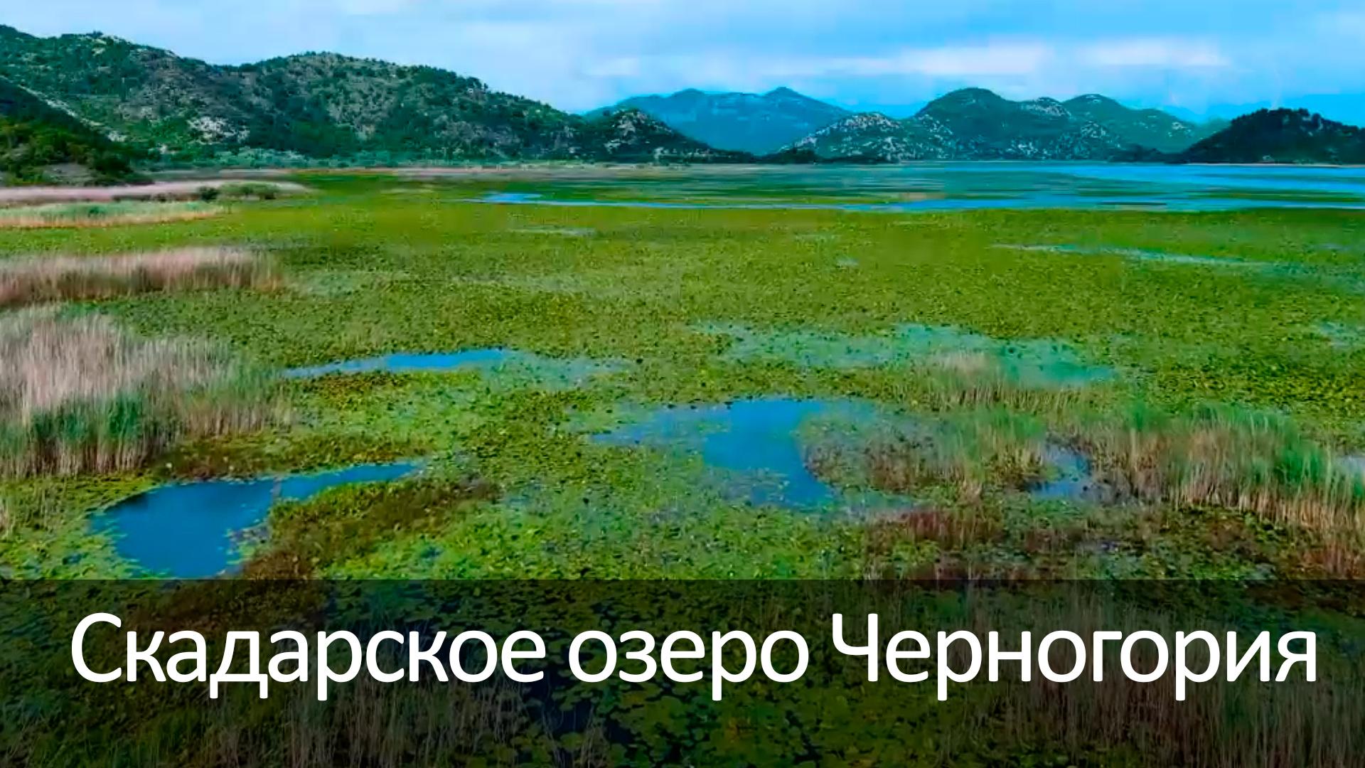 Скадарское озеро Черногория