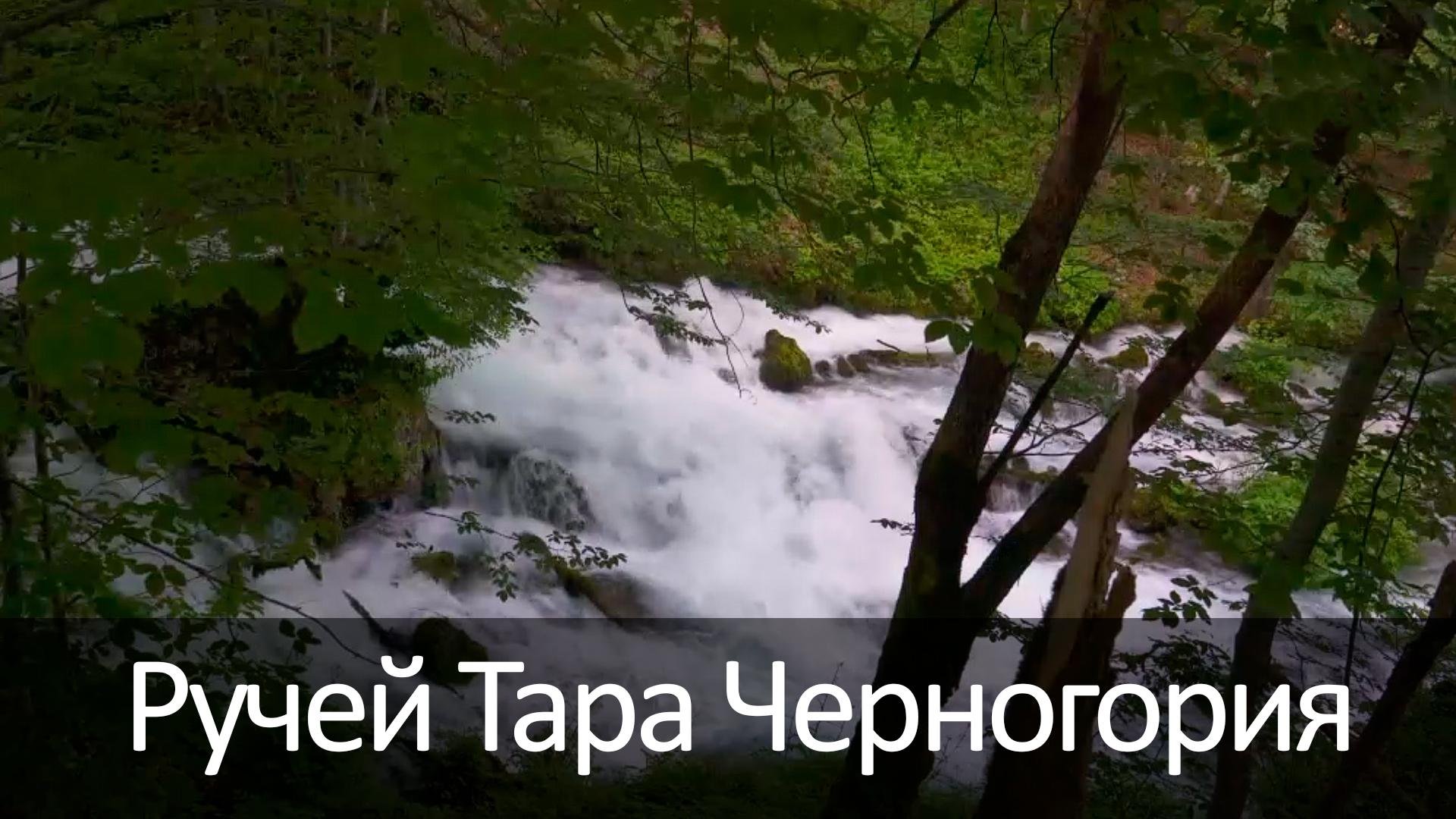 Ручей Тара Черногория