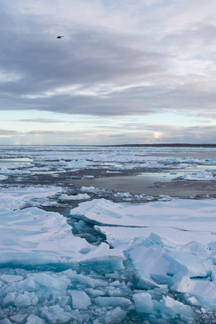 Люди Арктики
