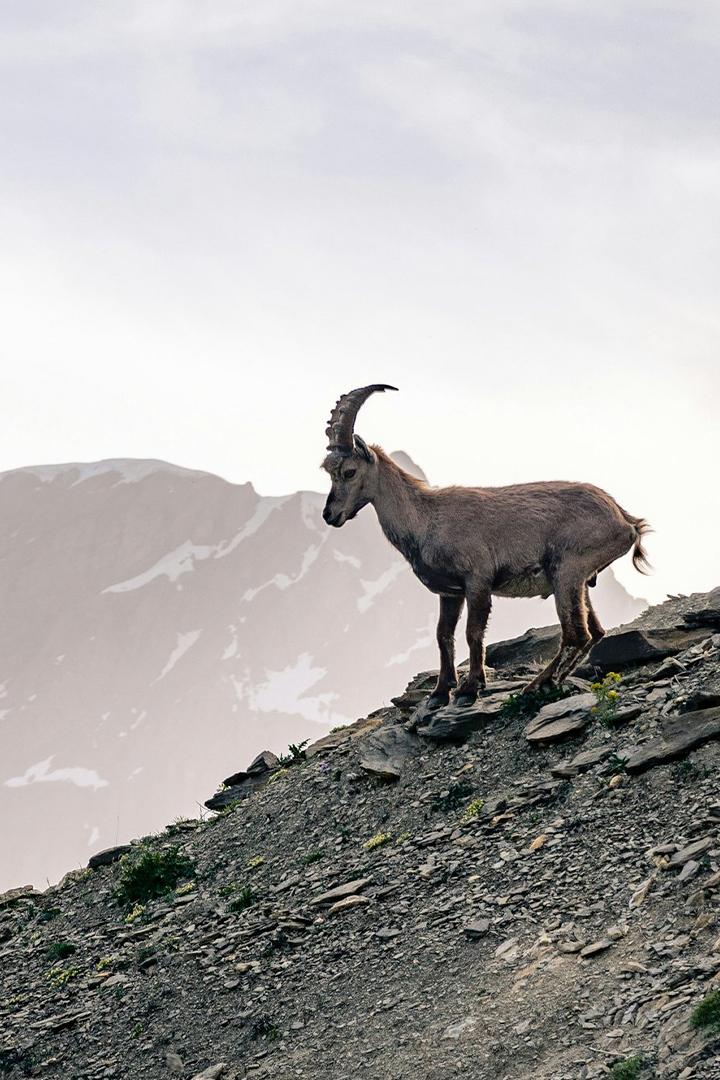 Жизнь на скалах