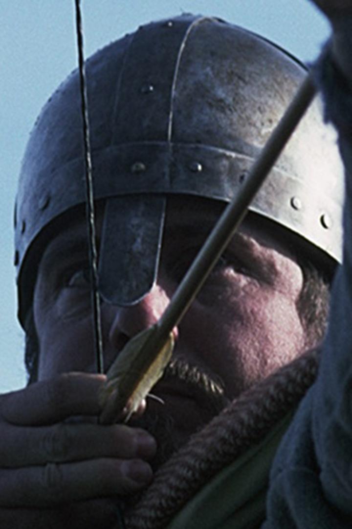 Времена и воины. Викинги и норманны