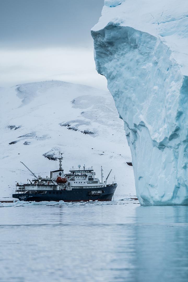 Самое горячее место в Арктике. Судьба "Челюскина" и челюскинцев
