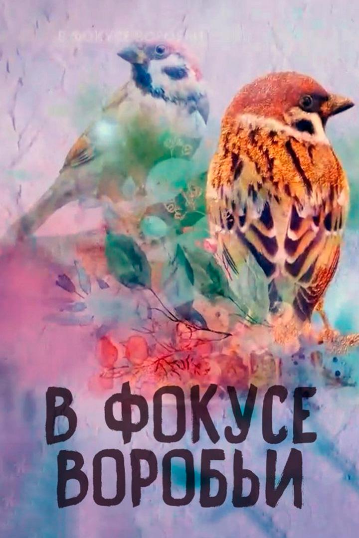 В фокусе воробьи
