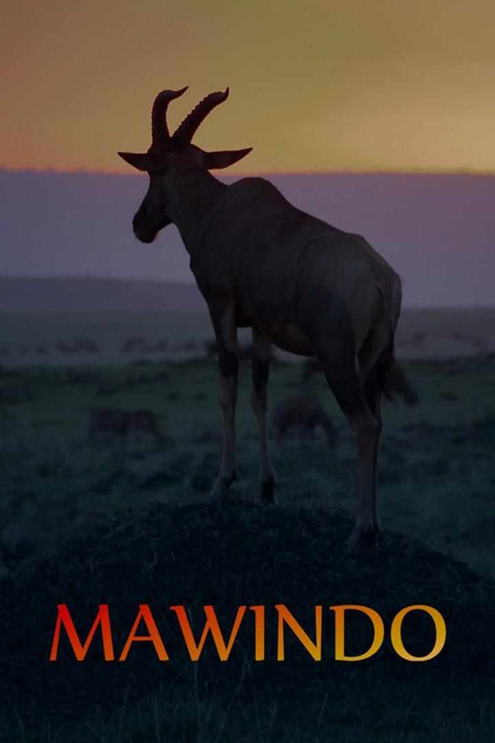 Мавиндо. Великая драма Серенгети