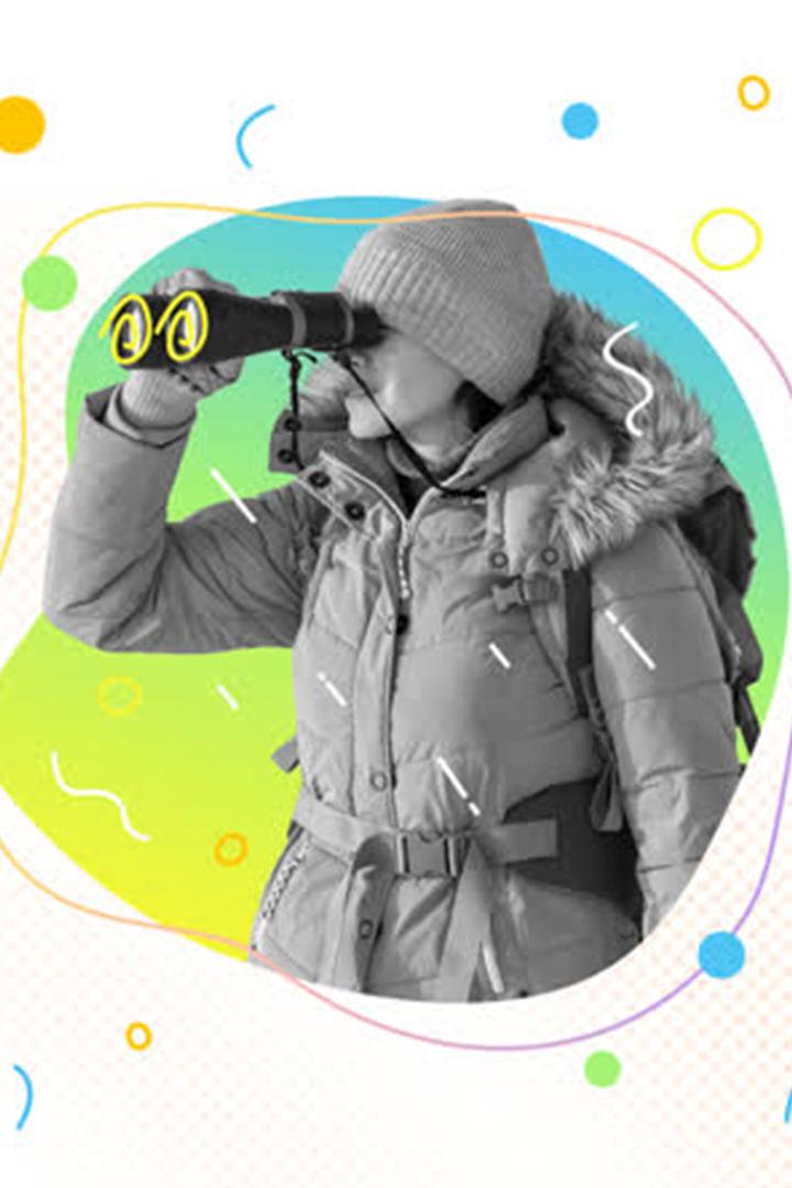 История изучения и освоения Арктики