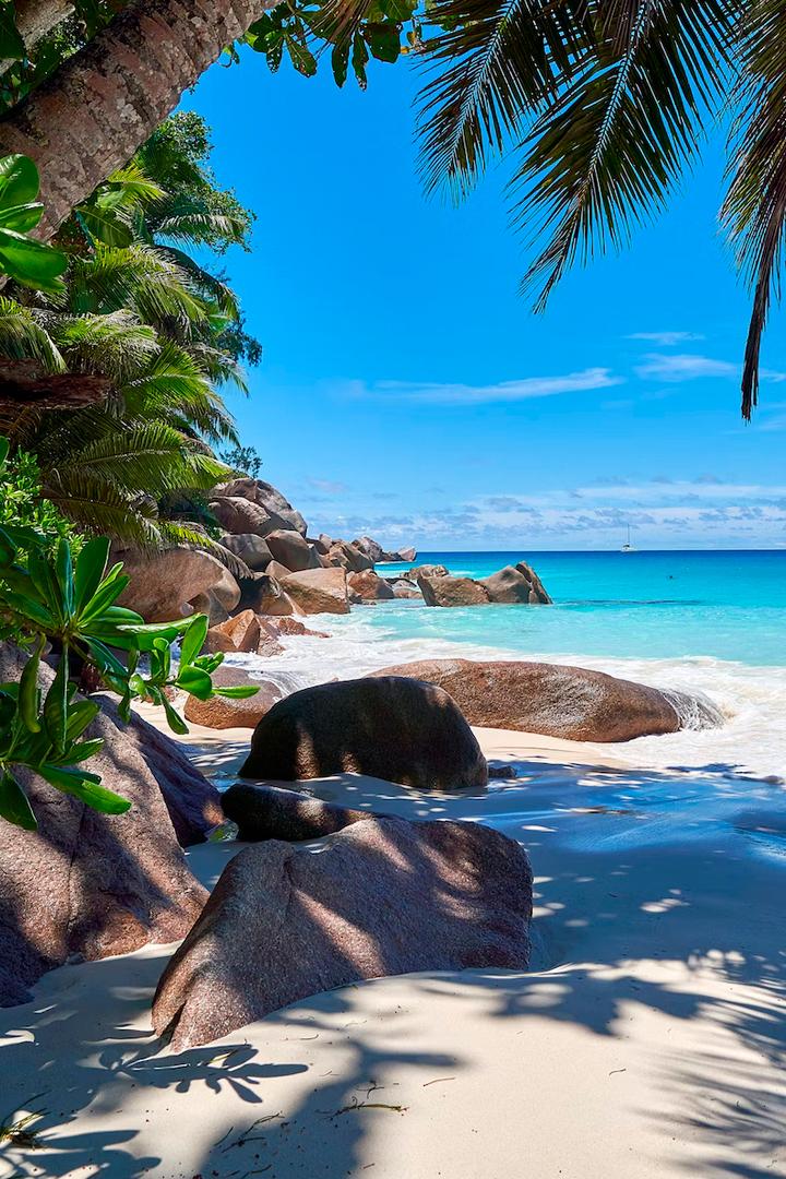 Тайны Сейшельских островов