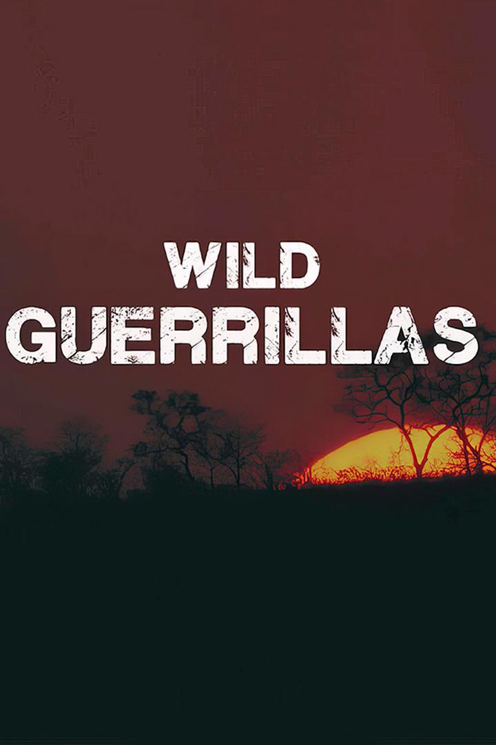 Мастера выживания