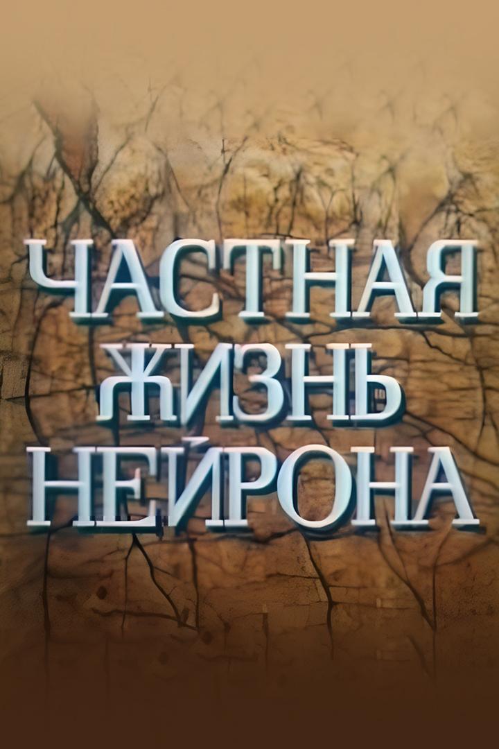 Частная жизнь нейрона