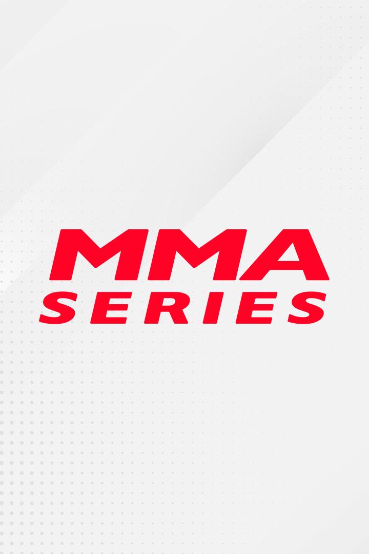 Смешанные единоборства. Hexagone MMA 12. Трансляция из Нидерландов