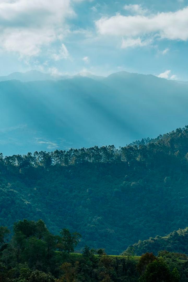 Душа голубых небес