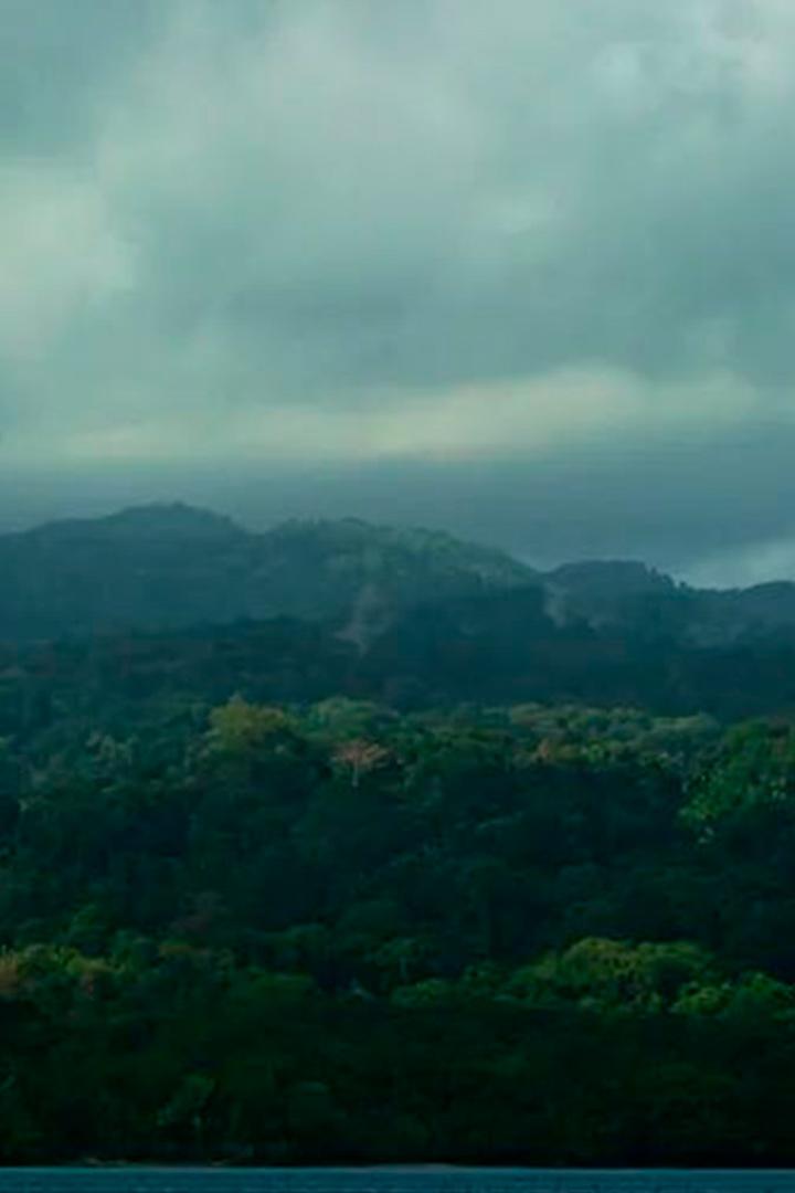 Индонезия - тайны леса