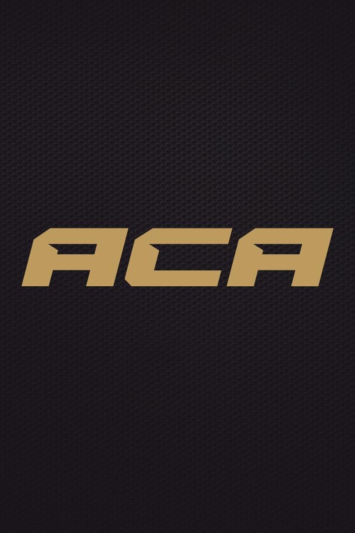 Смешанные единоборства. ACA 165. Евгений Ерохин против Гаджимурада Антигулова. Андрей Кошкин против Линкольна Энрике. Трансляция из Санкт-Петербурга