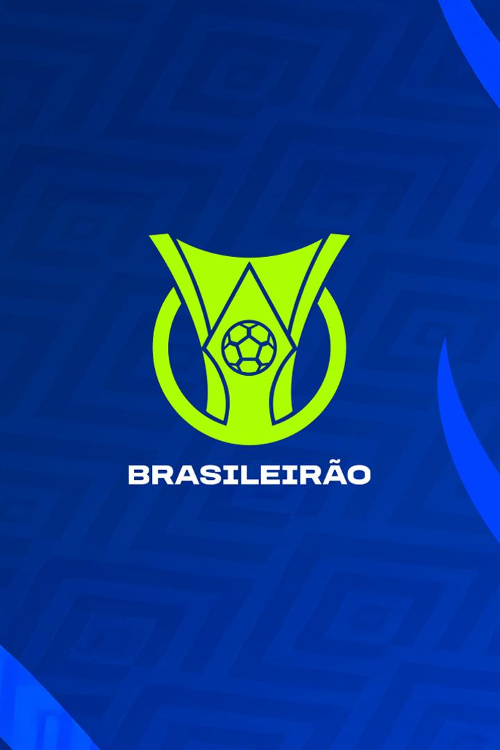 Чемпионат Бразилии. Ботафого - Палмейрас