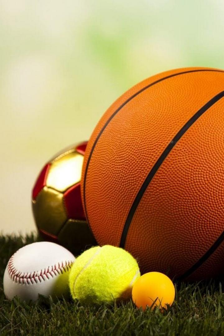 Баскетбол. Лига чемпионов 23/24. Опава (Чехия) - Дижон (Франция)