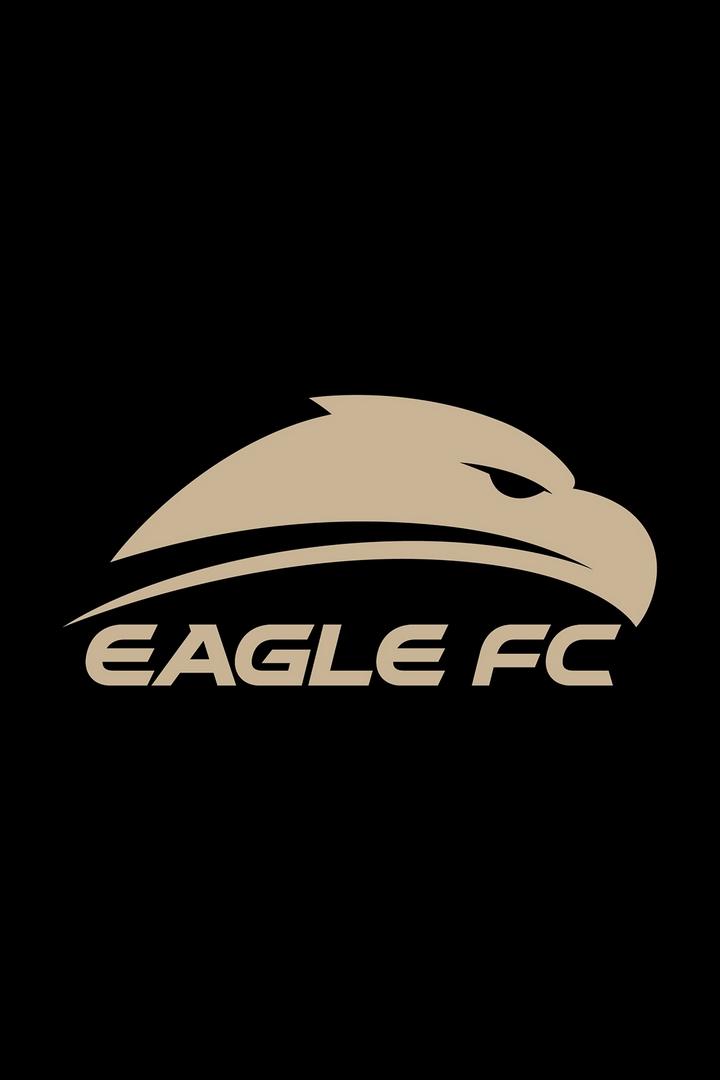 Смешанные единоборства. Eagle FC. Шамиль Ямилов против Махира Маммедова. Рамин Султанов против Магомеда Курбанова. Трансляция из Альметьевска