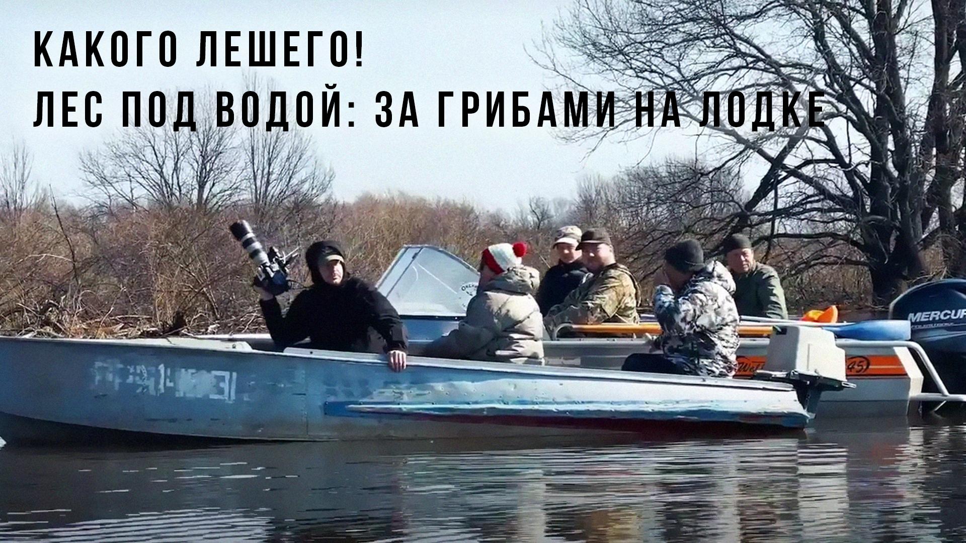 Какого лешего! Лес под водой: за грибами на лодке