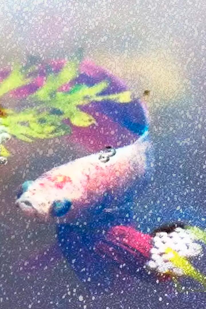 Дикий разум