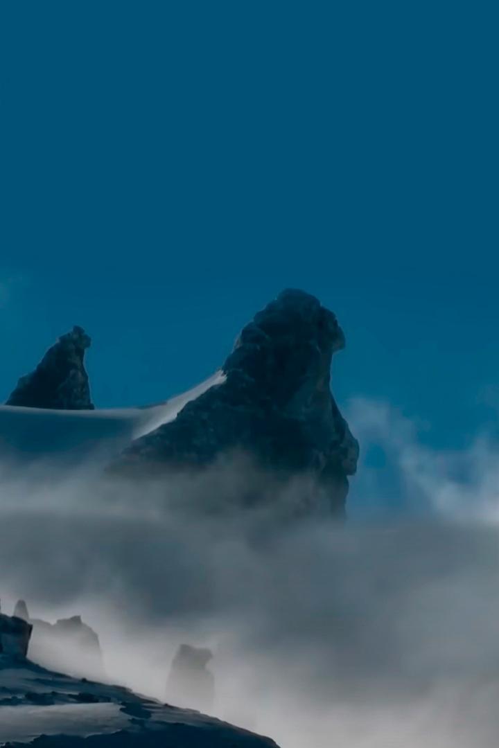 Орлы: короли небес