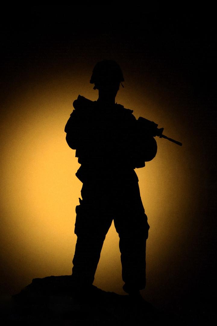 Операция "Возвращение"