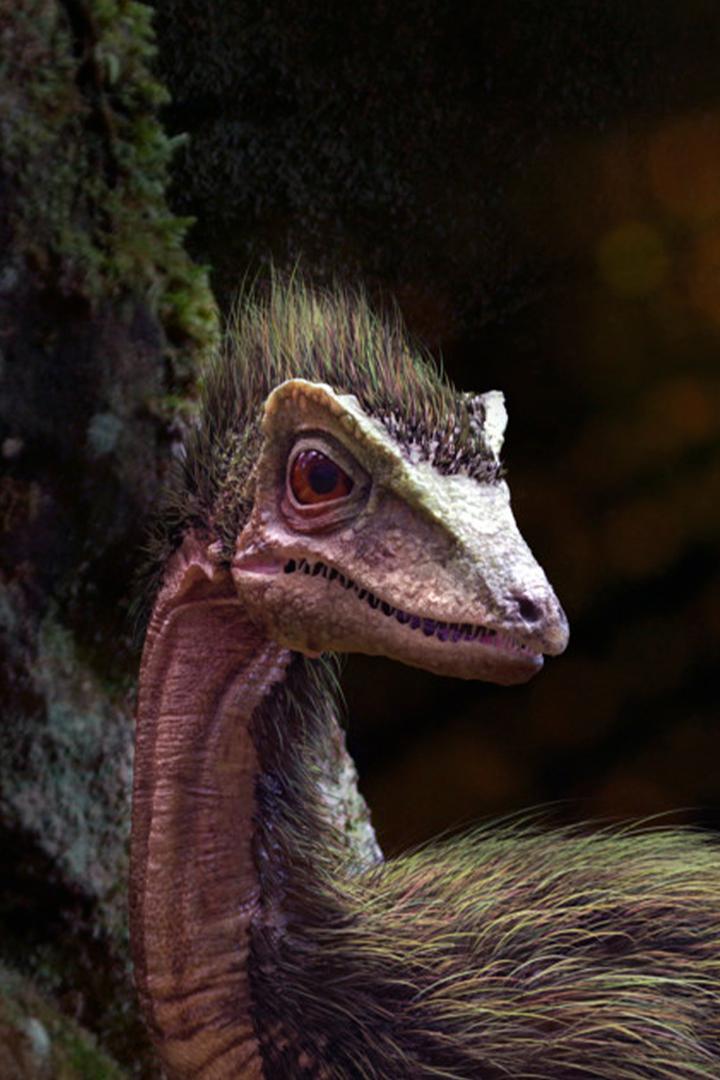 История жизни на Земле