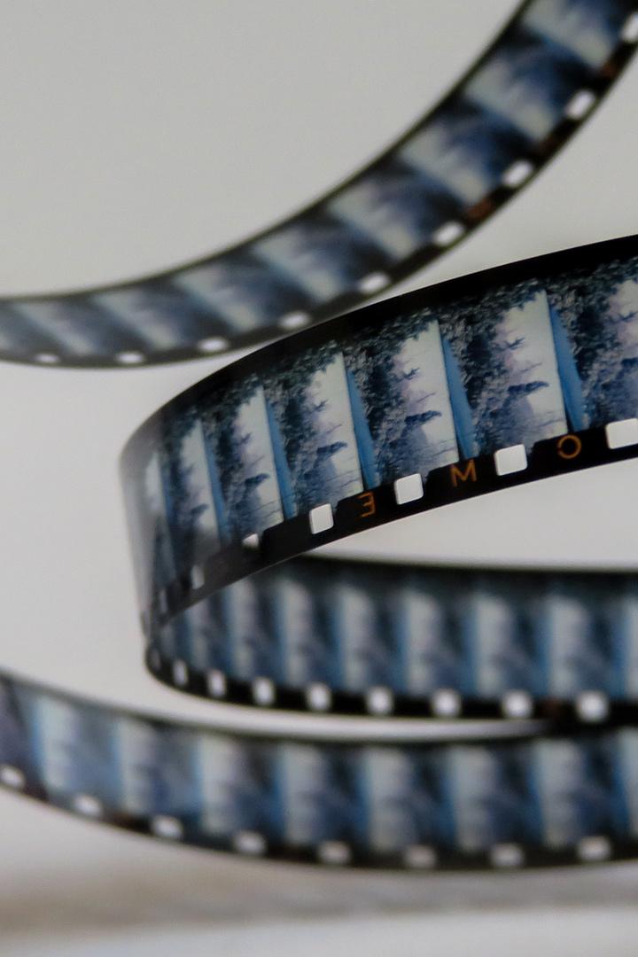 Признание сквозь года. Учительская династия