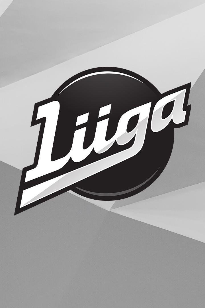 Хоккей Финская Хоккейная Лига. Регулярный сезон 2023/24.. Эссет (Пори) - Таппара (Тампере)