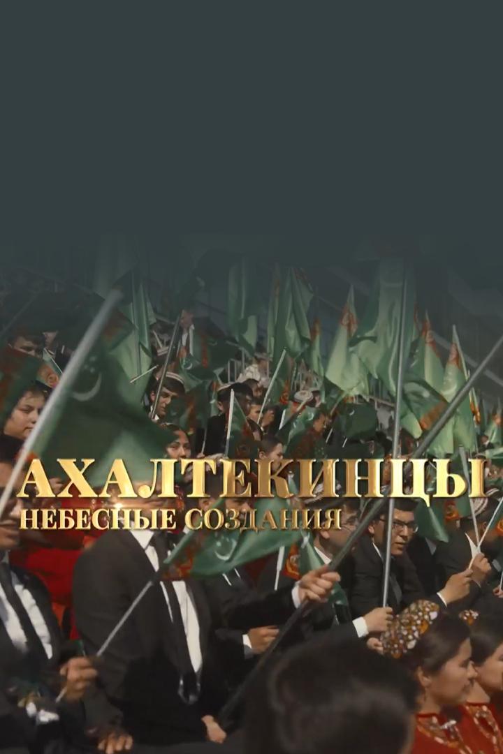 Ахалтекинцы: небесные создания