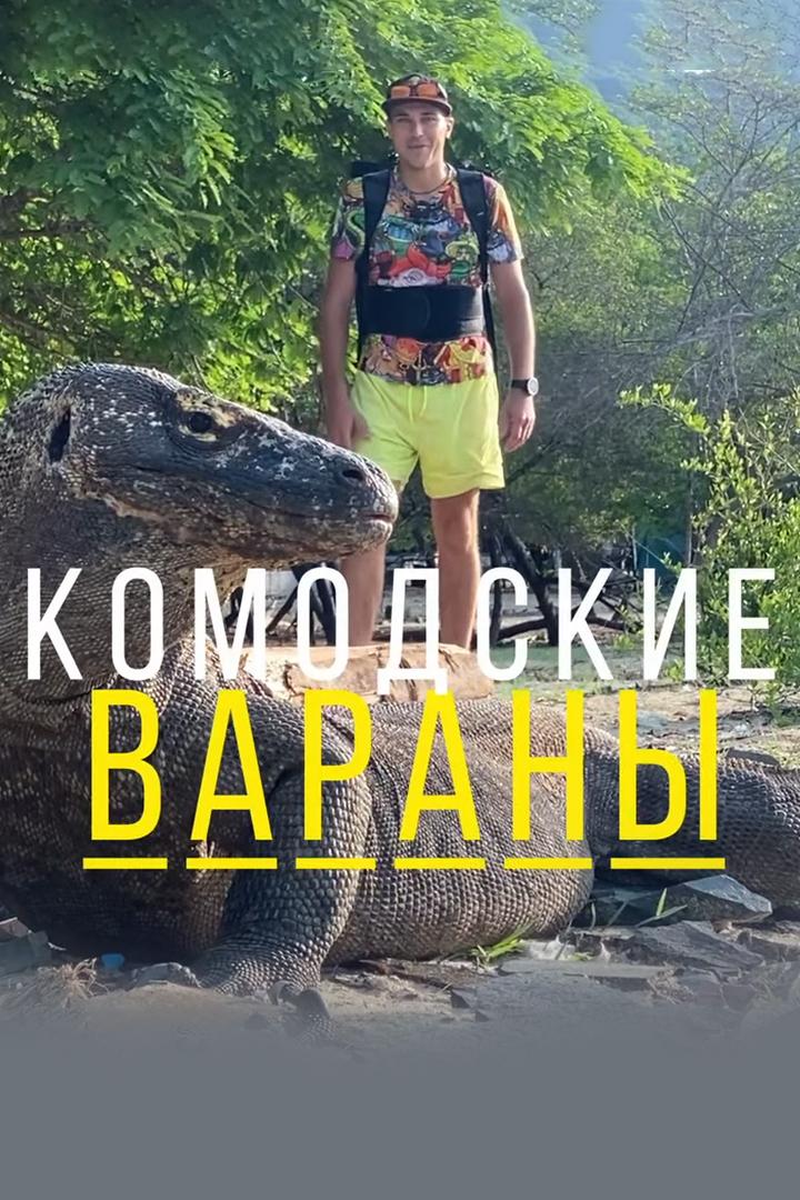 Комодские вараны - Павел Макаров