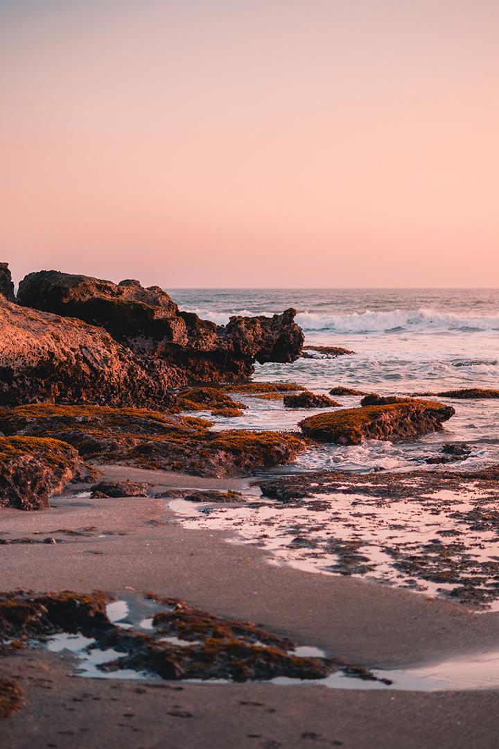 Гренландские киты на Шантарских островах - Павел Макаров