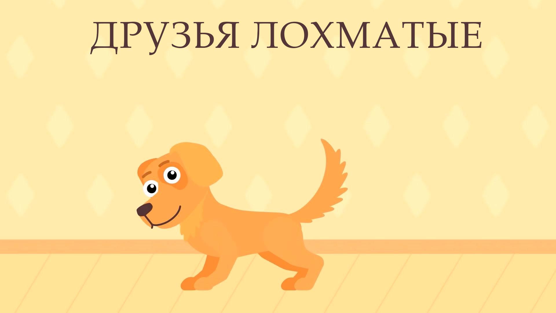 Друзья лохматые