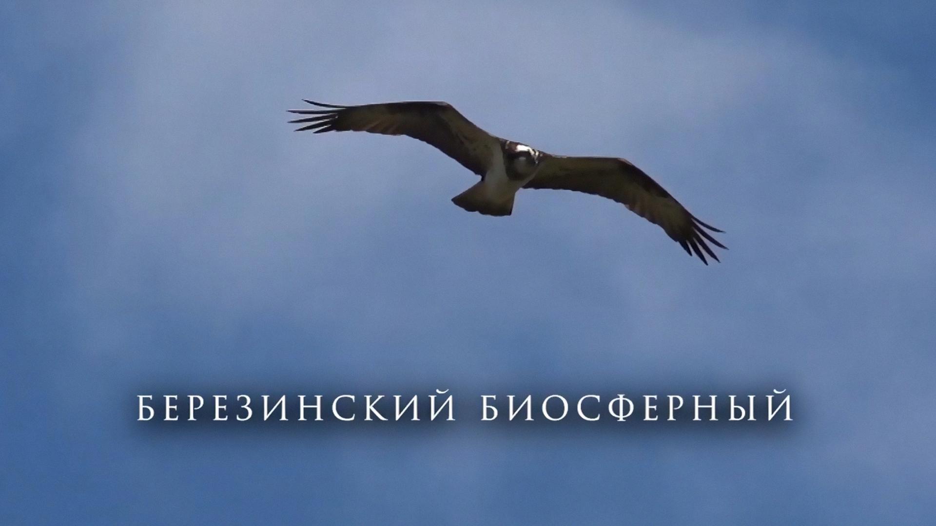 Березинский биосферный