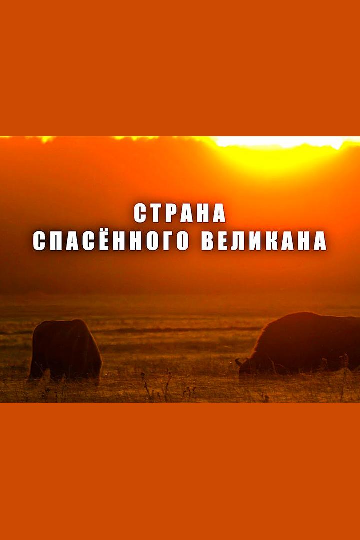 Страна спасенного великана