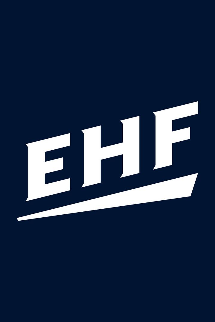 Гандбол. Чемпионат Европы. Мужчины. Дания - Швеция. Трансляция из Германии