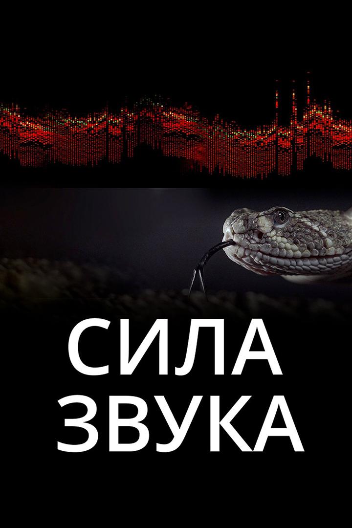 Сила звука